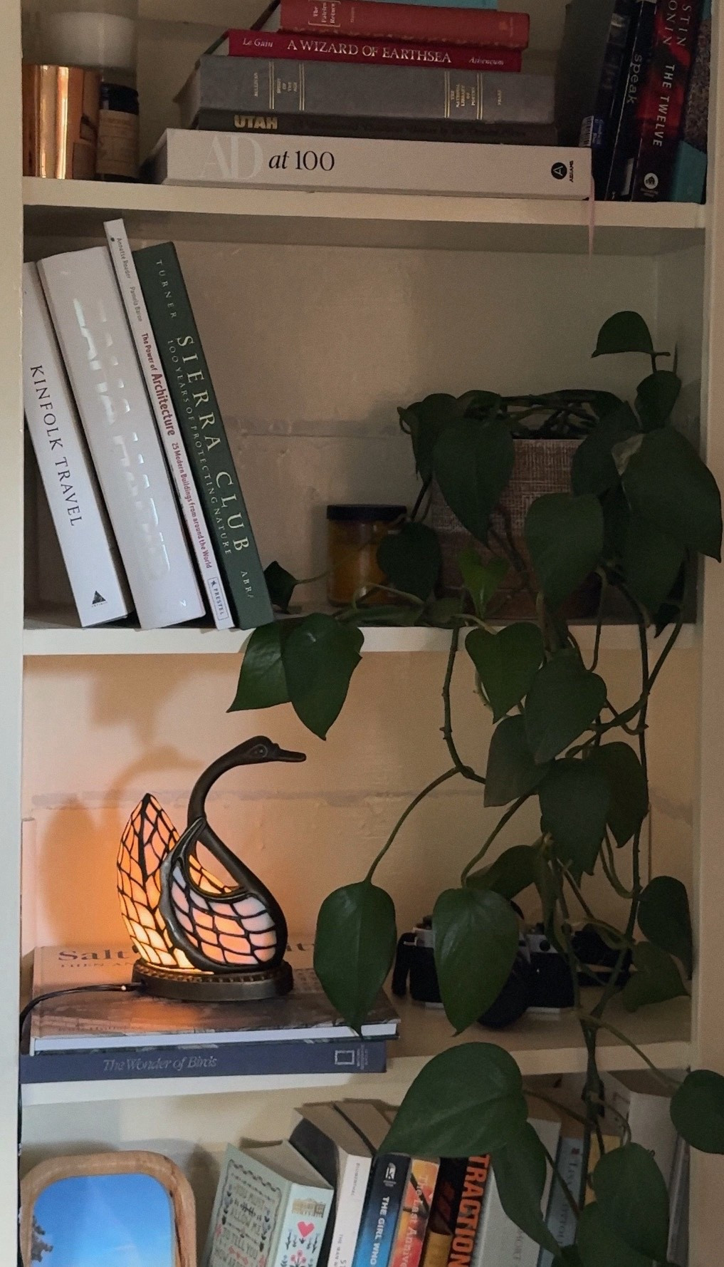 Vintage Tiffany styleswan lamp

#LTKFindsUnder50 #LTKHome #LTKFindsUnder100