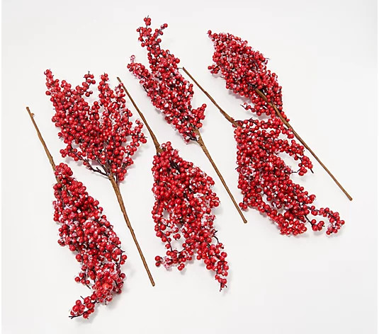 Ebenezer & Co. Set of 6 20" Berry Stem Picks - QVC.com | QVC