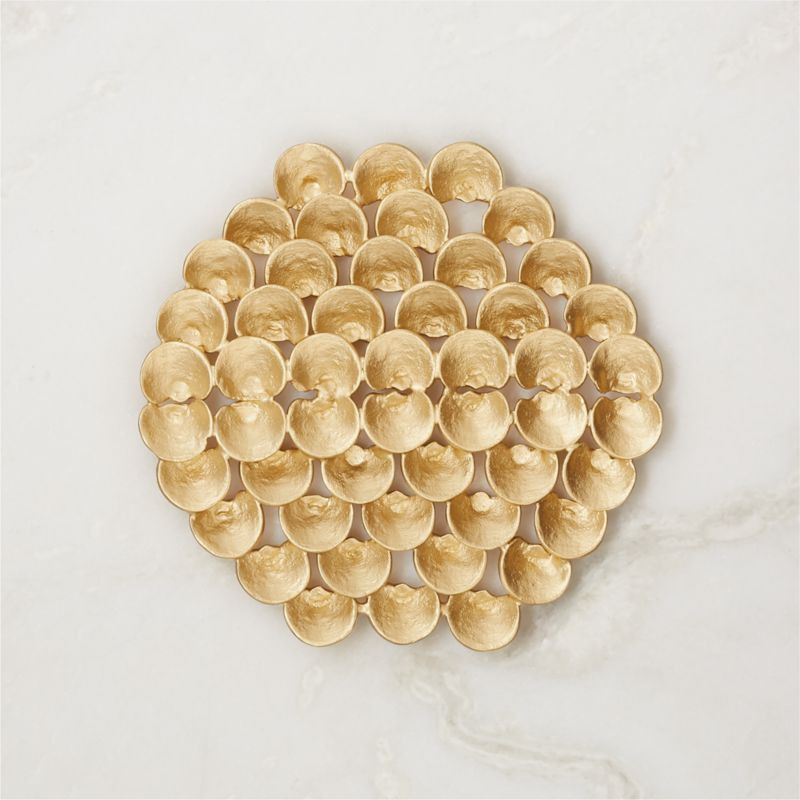 Euphoria Brass Plated Trivet + Reviews | CB2 | CB2