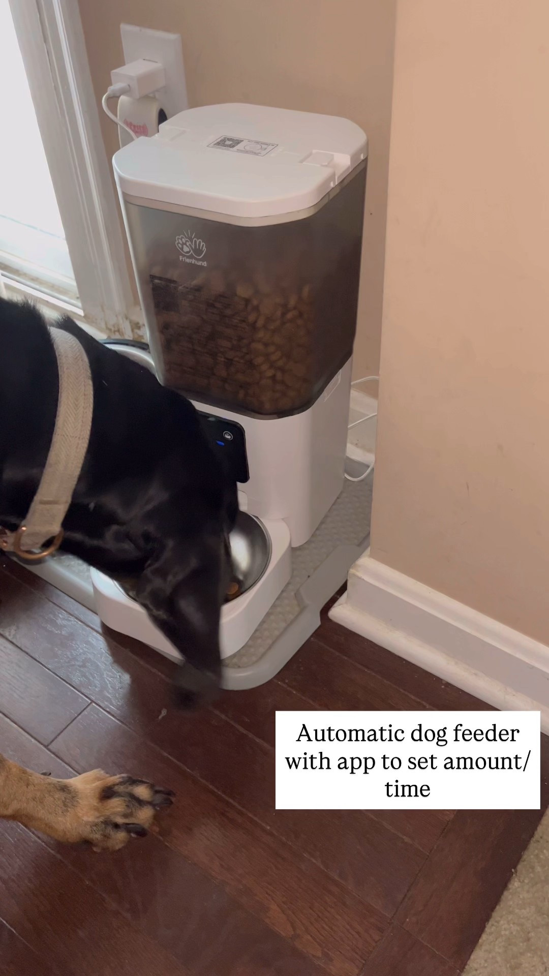 Dog feeder
Gift idea for the dog lover
Dog accessories


#LTKHome #LTKHoliday #LTKGiftGuide