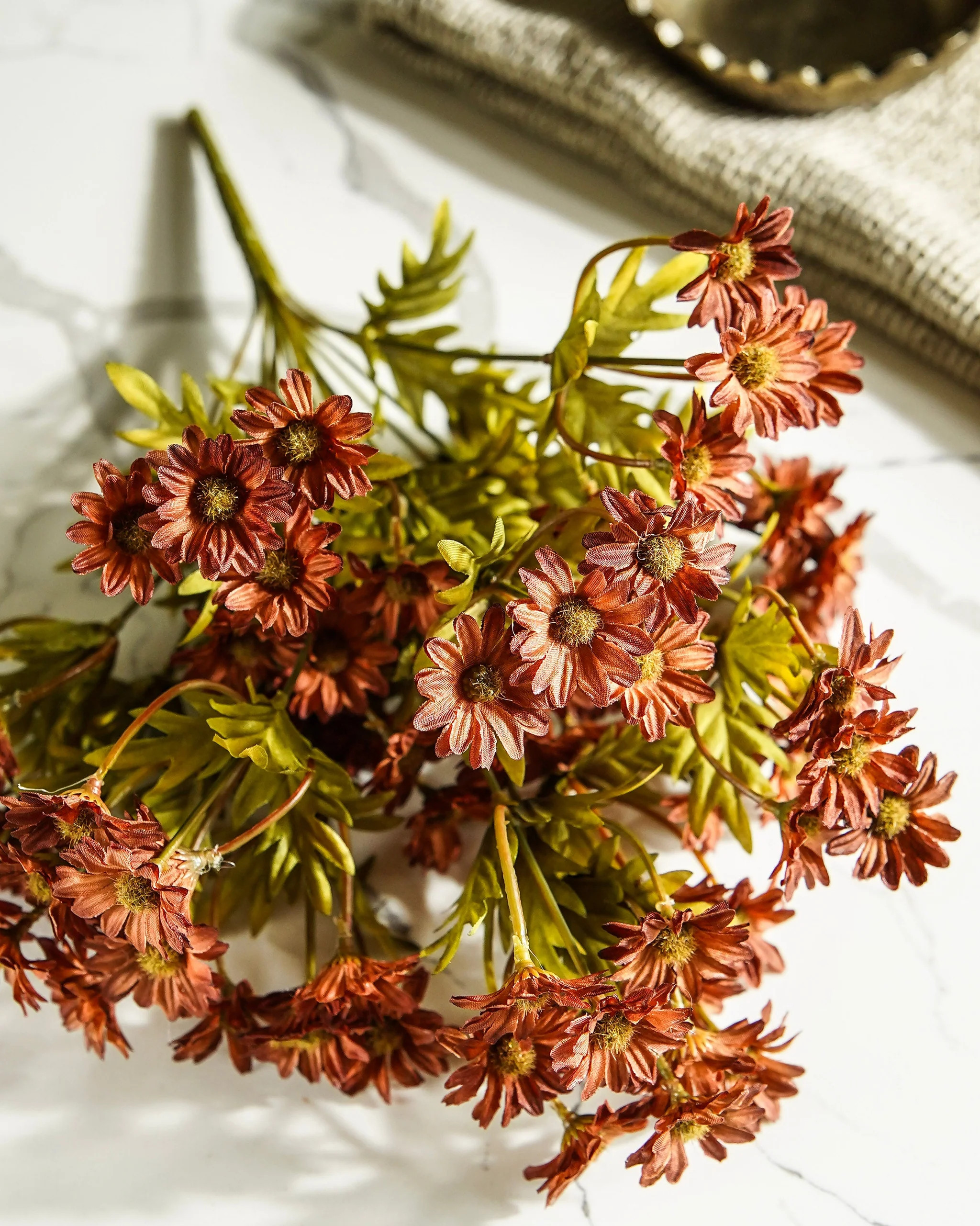 Dark Autumn Mum Bush | MJHome