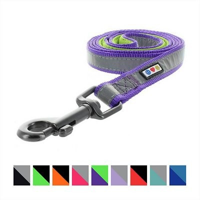 Pawtitas Nylon Reflective Padded Dog Leash | Chewy.com