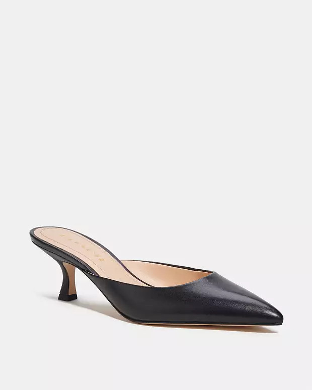Renn Mule | Coach (CA)