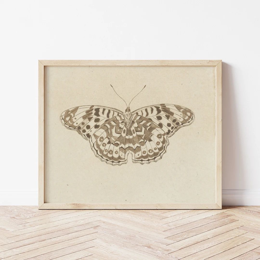 Vintage Butterfly Illustration Print, Printable Art Print, Multiple Sizes - Etsy | Etsy (US)