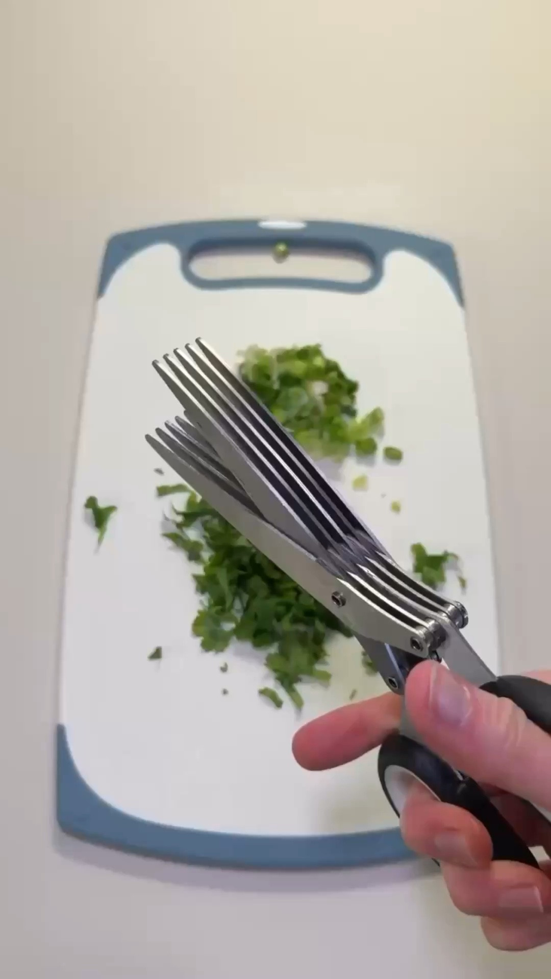 This is a great scissors set for cutting fresh garden herbs. 5 blade shears and under $10 on Amazon!

#LTKHome