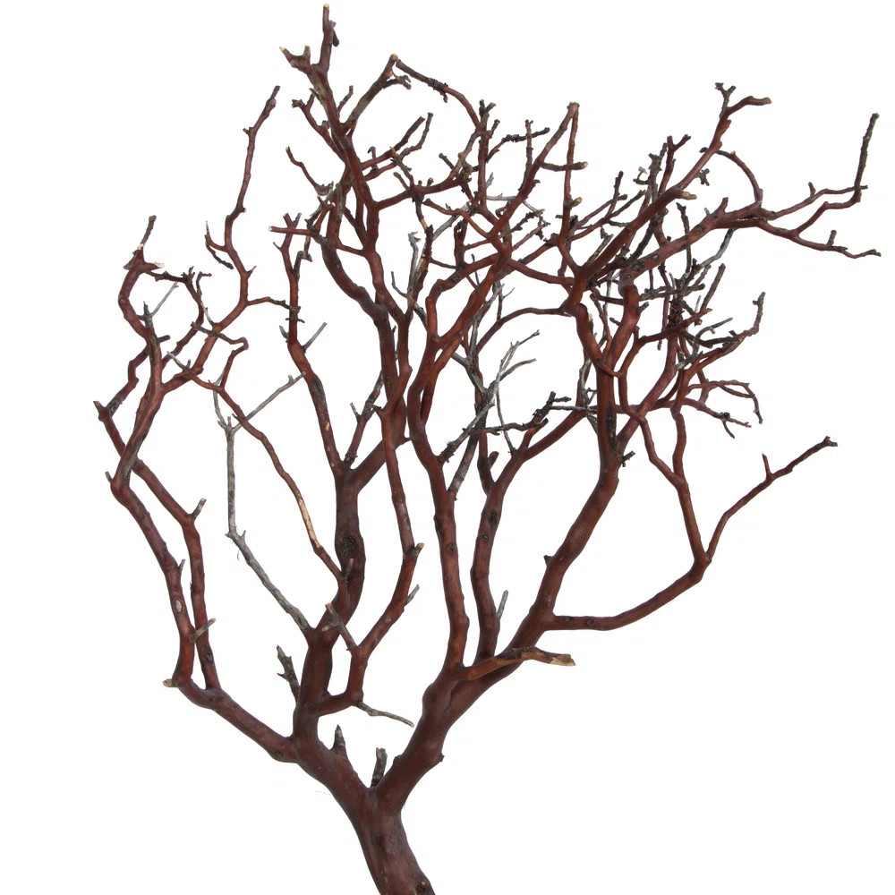 Manzanita Tree Natural 24", Dried | Wayfair North America