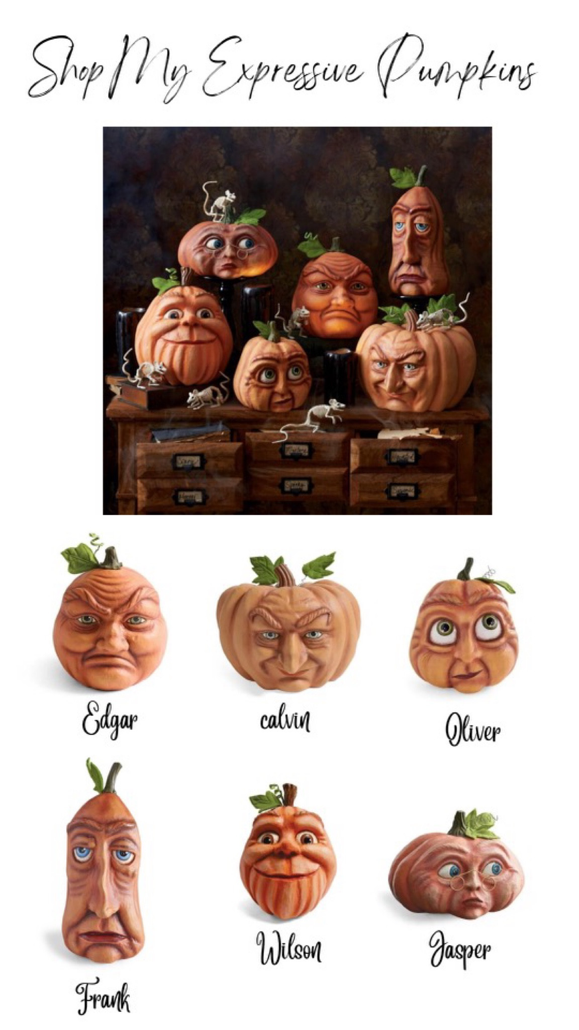 Add these  funny, spooky and adorable expressive pumpkins to your Halloween/ Fall Home Decor! They’re 20% off right now! 

#LTKhome #LTKSeasonal #LTKSale