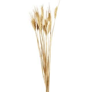 12 Pack: Natural Wheat Bundle by Ashland® | Michaels Stores