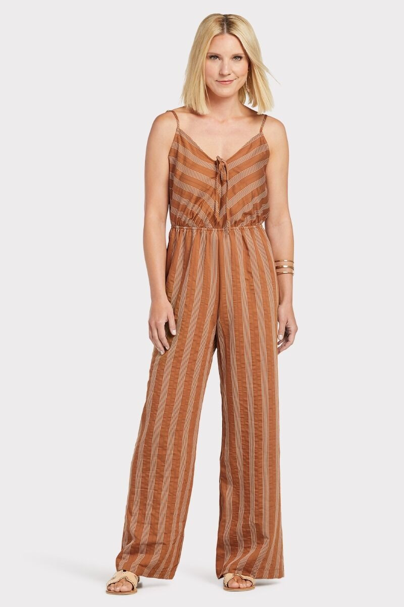 Bronze Stripe Jumpsuit | Evereve