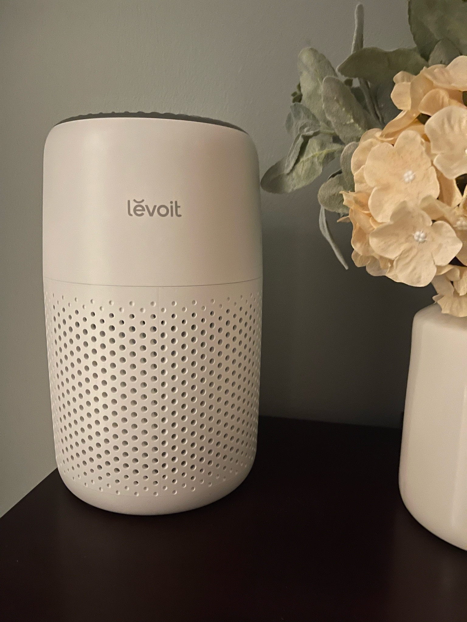 Air purifier for our room! Under $50!

#LTKFindsUnder100 #LTKHome #LTKFamily