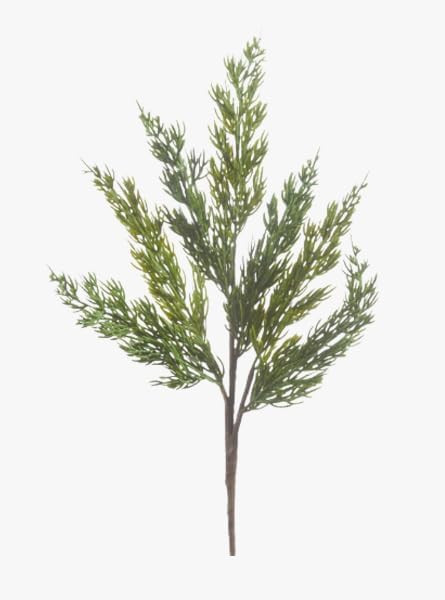 18" Evergreen Branch | Amazon (US)