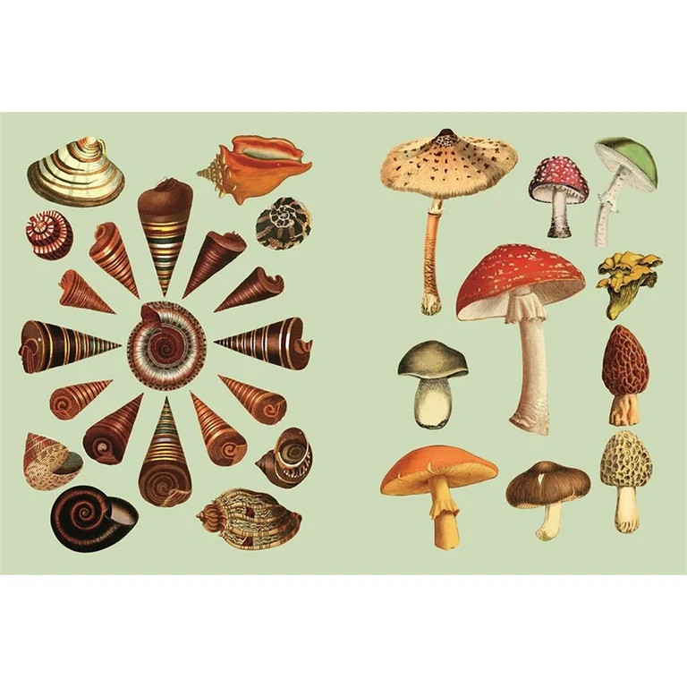 The Antiquarian Sticker Book: An Illustrated Compendium of Adhesive Ephemera (Hardcover) - Walmar... | Walmart (US)