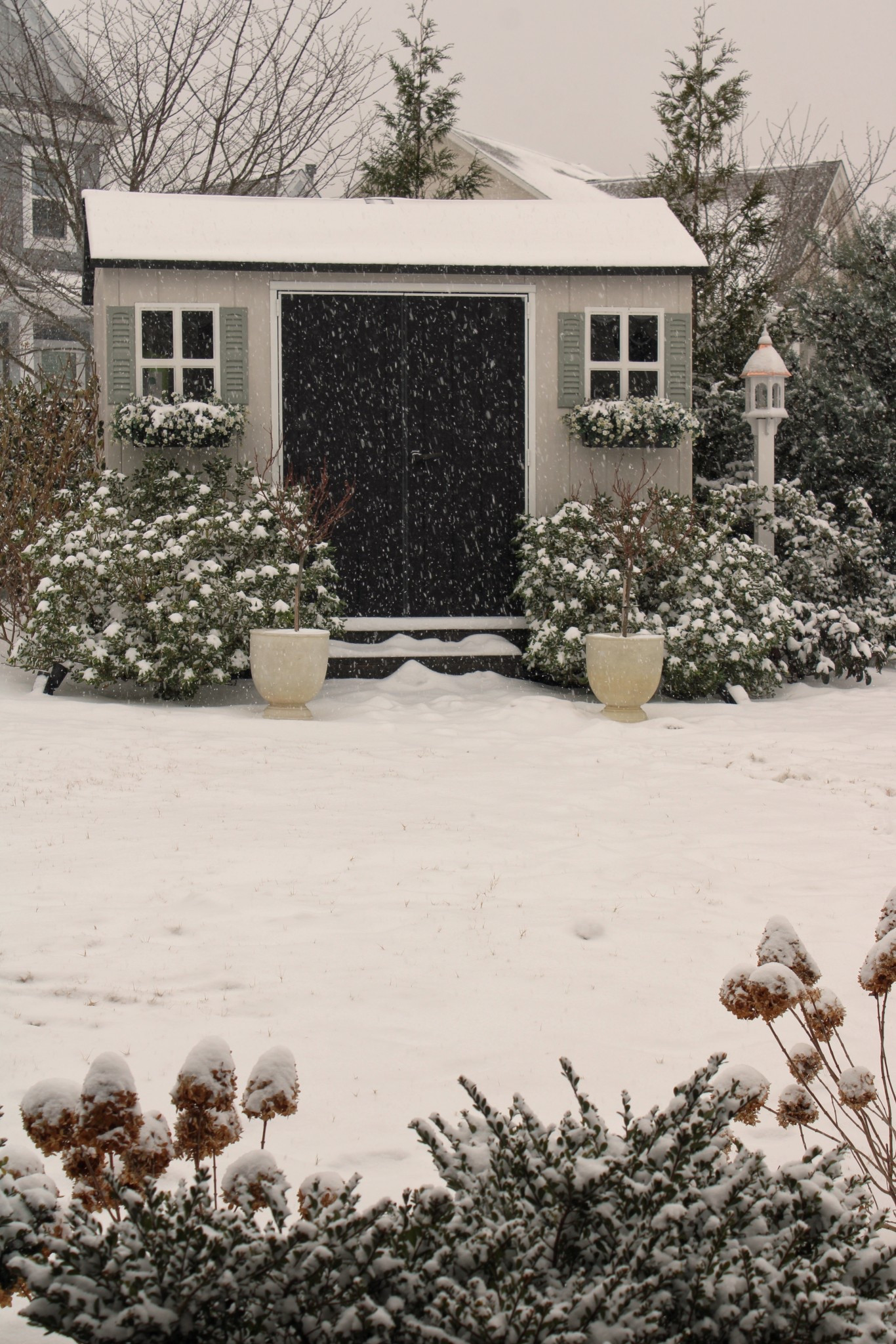 Shed and bird feeder, backyard ideas 

#LTKHome