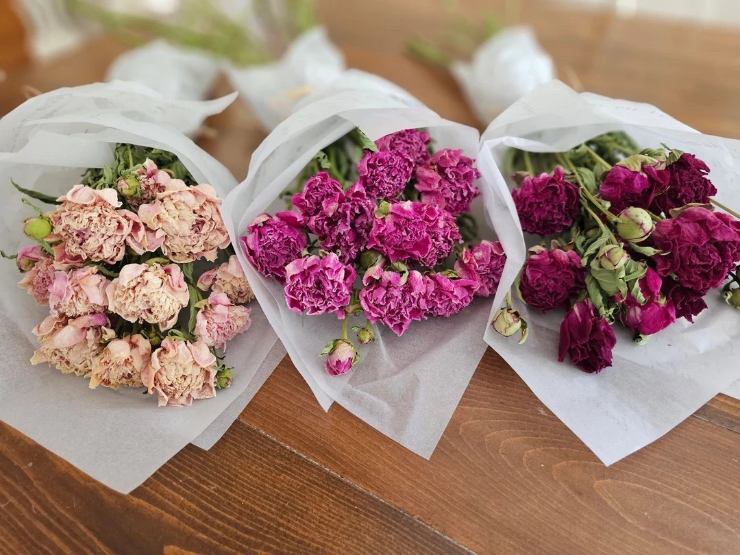 A true heirloom bloom 🤍 These air-dried peonies by DeoGloriaFarm are hand-harvested and naturally dried on a 130-year-old family farm, capturing all the romance and nostalgia of classic farmhouse gardens. With beautifully crinkled petals, long elegant stems, and thoughtful gift-ready wrapping, they make a meaningful keepsake for your home or a heartfelt gift rich in history and symbolism.
#LTKhome #LTKgifts #driedflowers #driedpeonies #farmgrown #heirloomblooms #farmhousedecor #sentimentaldecor #sustainableflorals #etsyfinds

#LTKSeasonal #LTKWedding #LTKHome