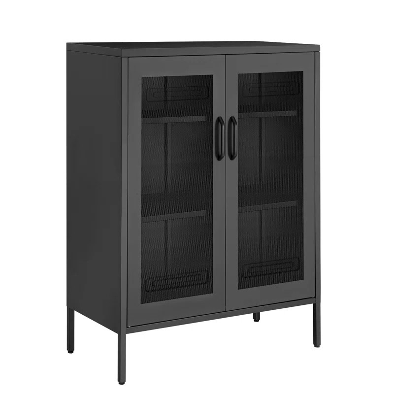 Akper 2 Door Accent Cabinet | Wayfair Professional