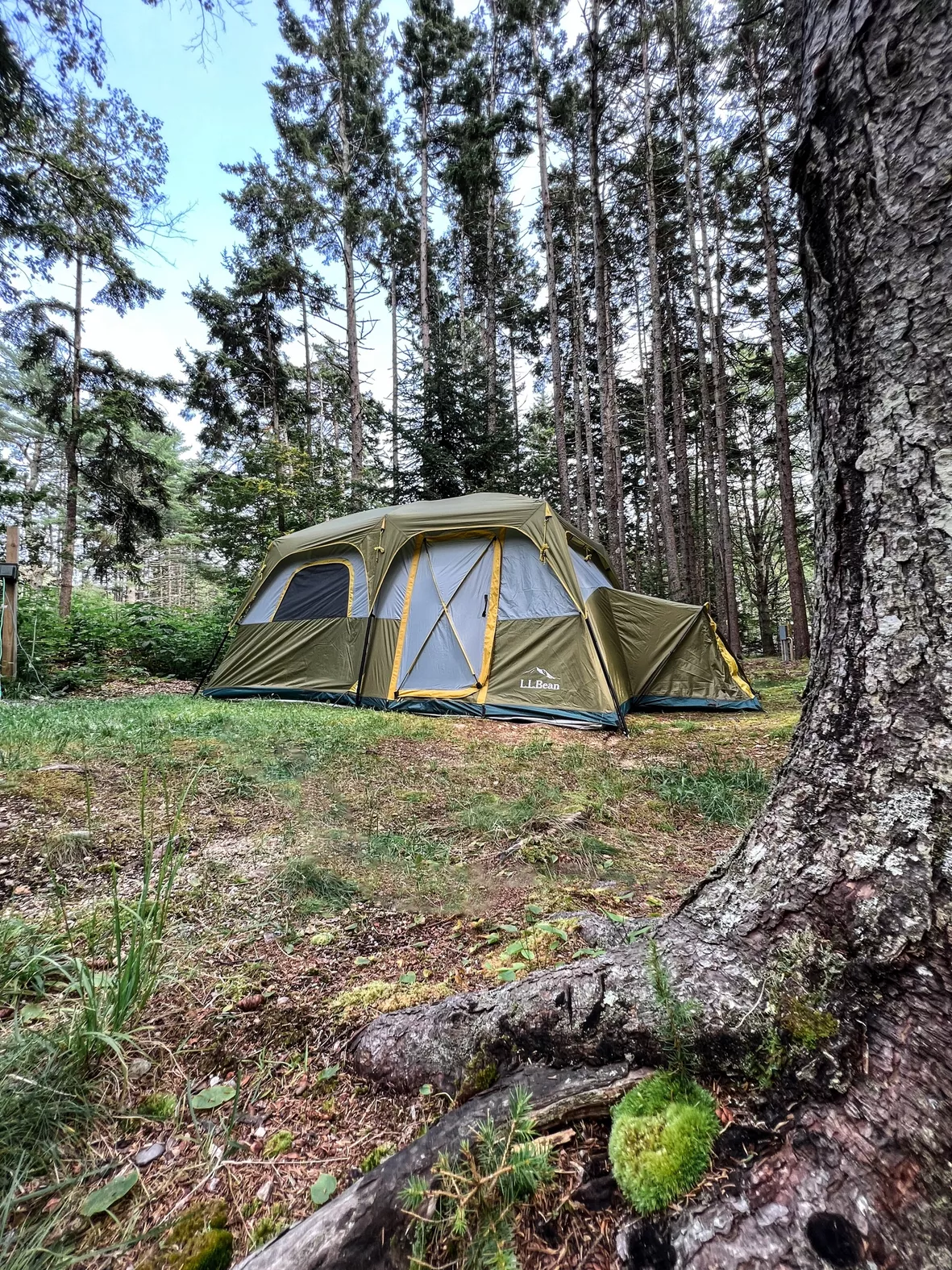 Acadia 8-Person Cabin Tent curated on LTK