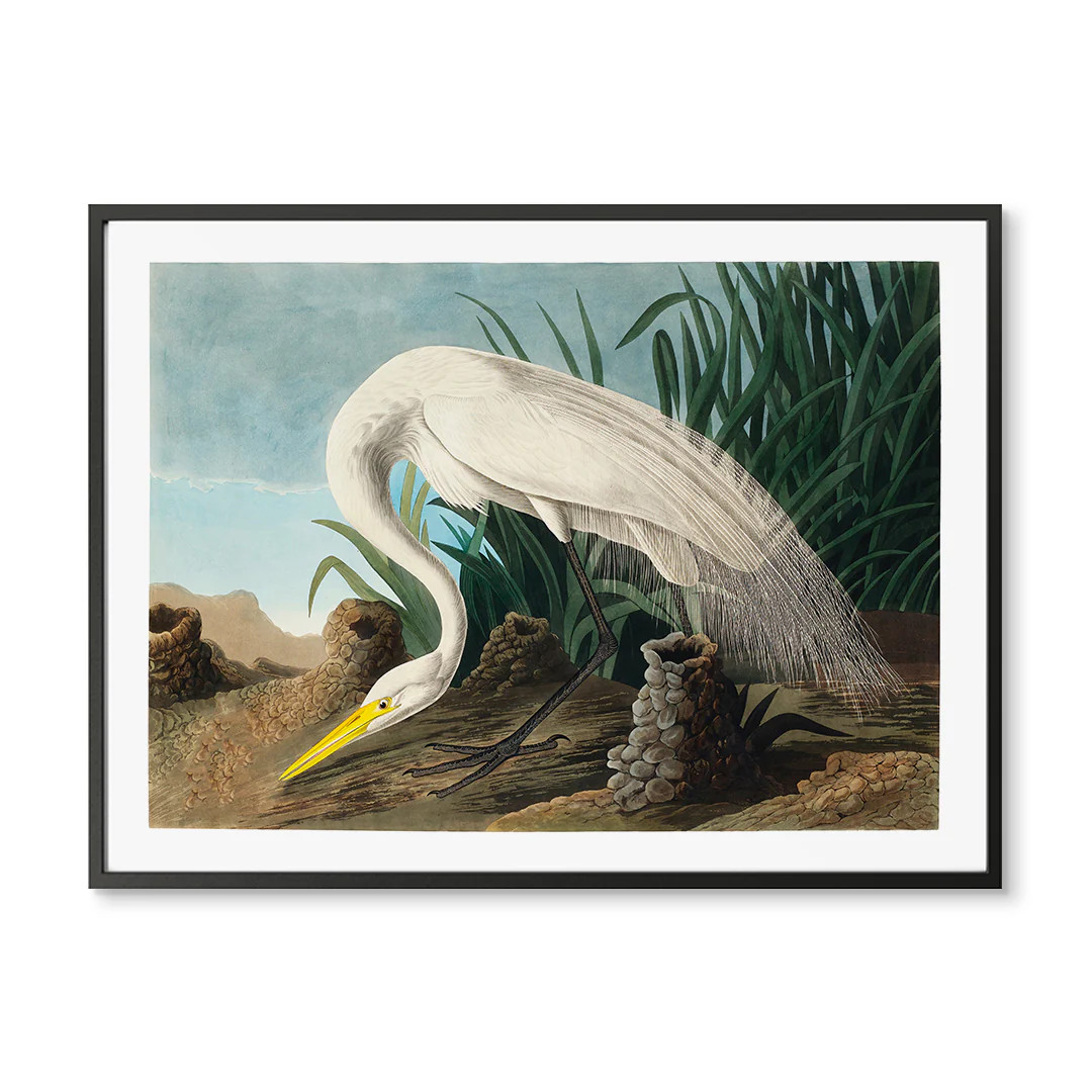 Vintage White Heron | Urban Garden Prints