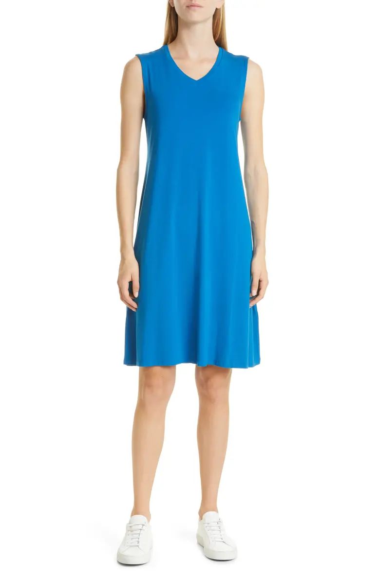 Sleeveless V-Neck Dress | Nordstrom