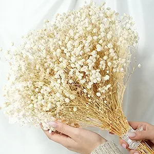 2300+ Dried Babys Breath Flowers 17'' Bulk – Natural Ivory White Gypsophila Branches, White Dri... | Amazon (US)