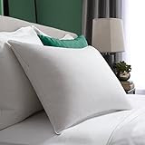 Pacific Coast Hotel Symmetry Pillow 230 Thread Count Down & Resilia Feathers Machine Wash & Dry -... | Amazon (US)