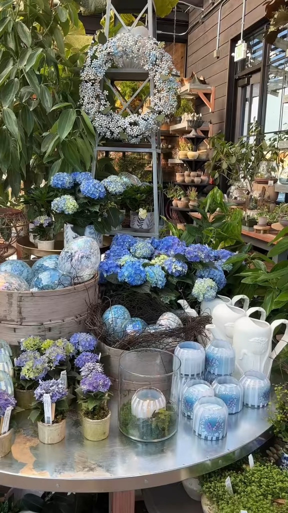 The perfect spring shopping days!! So many cute spring outfits and home decor 💐

#LTKootd #LTKHome #LTKdayinmylife