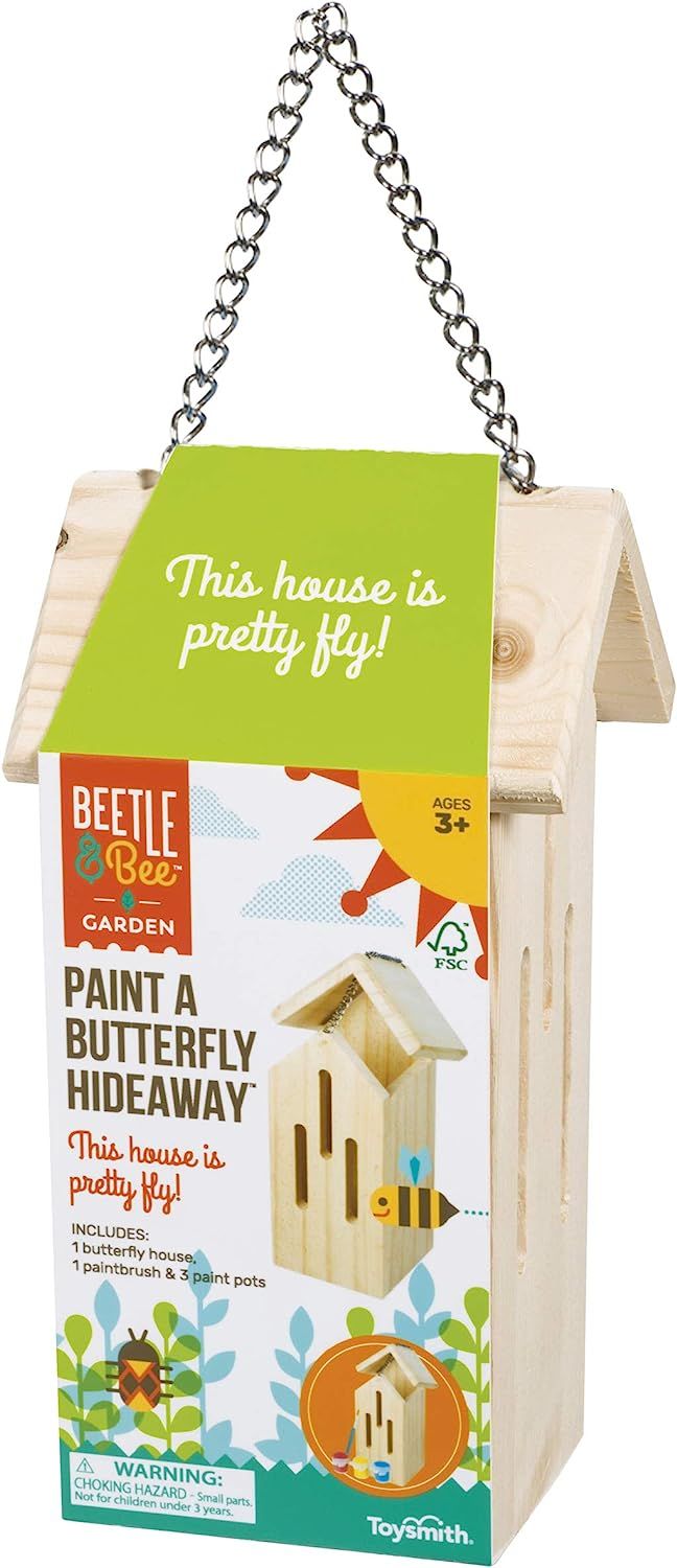 Toysmith Beetle & Bee Paint A Butterfly Hideaway | Amazon (US)