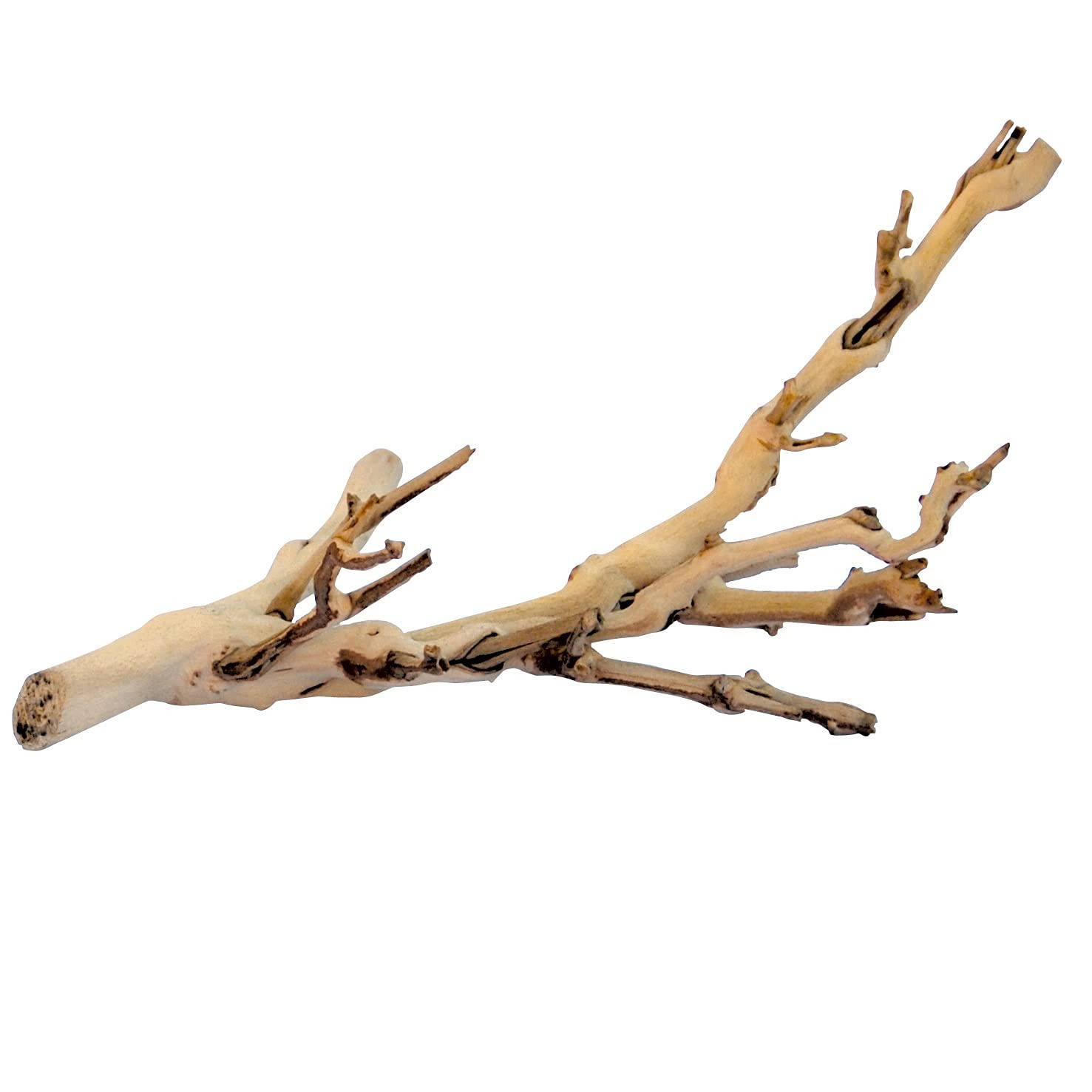 Exo Terra Forest Branch Small – Natural Wood Terrarium Decoration for Reptiles, Amphibians & Sm... | Amazon (US)