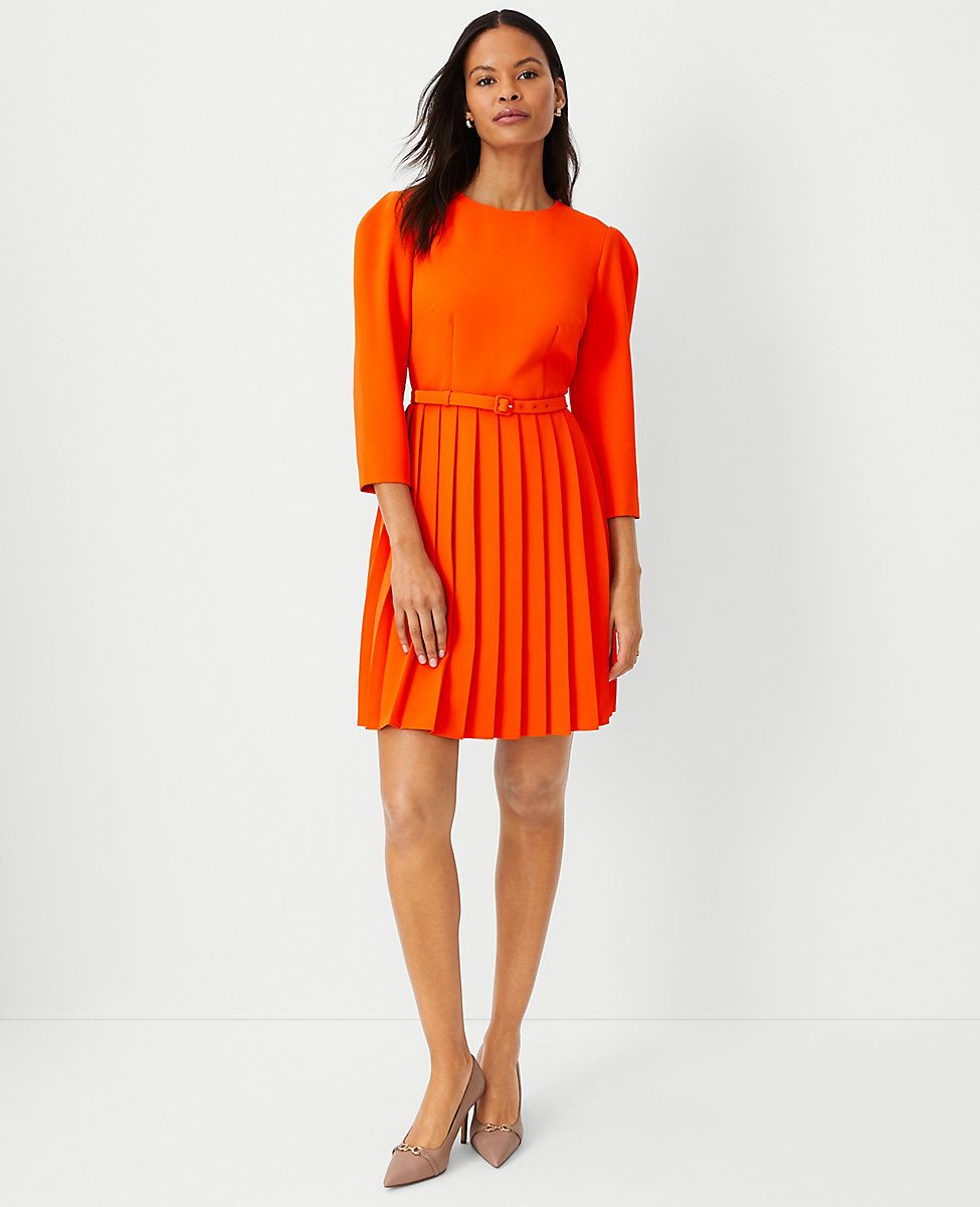 Pleated Belted Flare Dress | Ann Taylor (US)