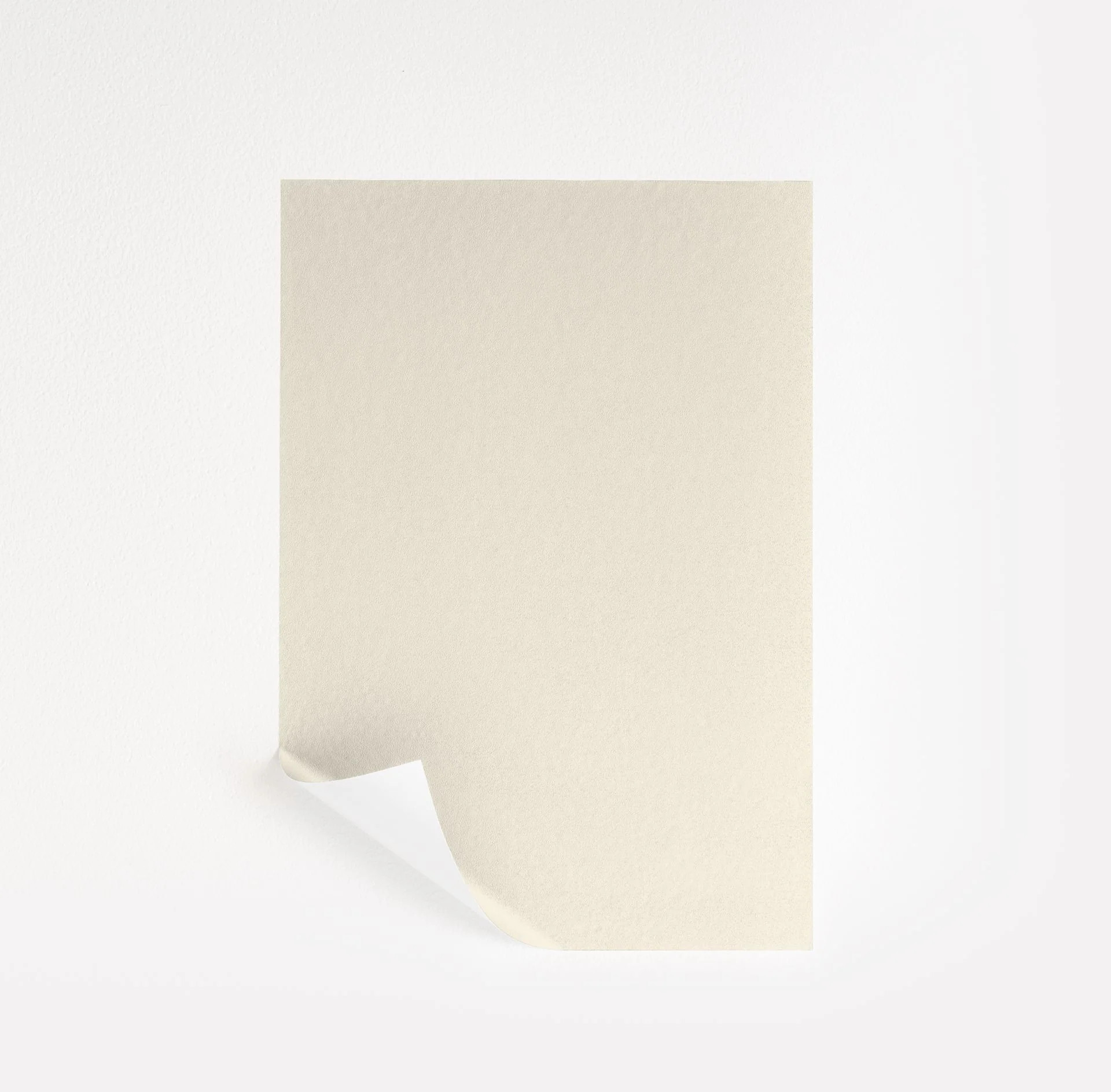 Cream Froth Paint Sample by Benjamin Moore (2158-70) | Peel & Stick Paint Sample | Samplize