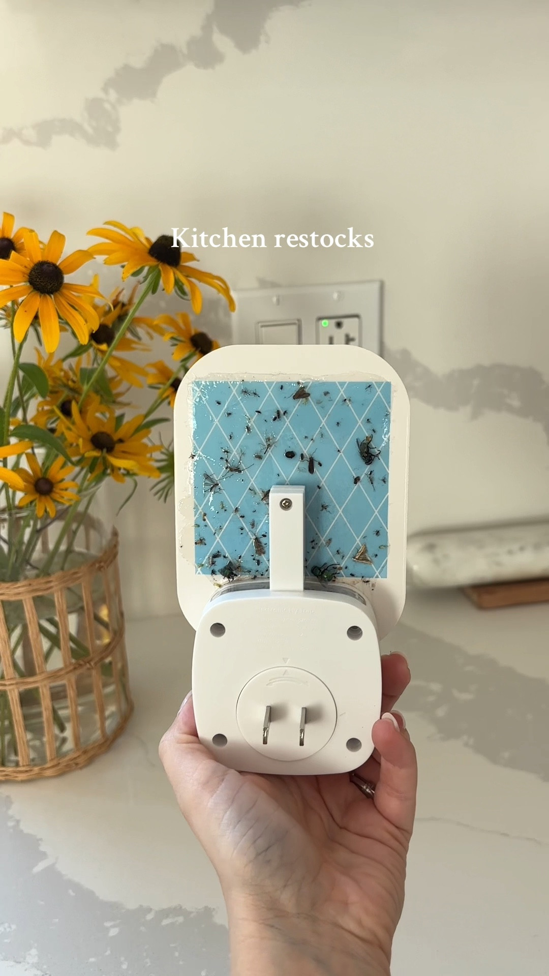 Kitchen restocks! This fly trap is a must during the summer months! 

#LTKsummer