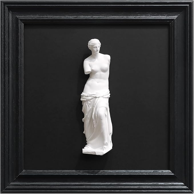 FOLKOR LIFE Framed Black and White Art Sculpture for Living Room Wall Decor, Greek Venus Statue P... | Amazon (US)