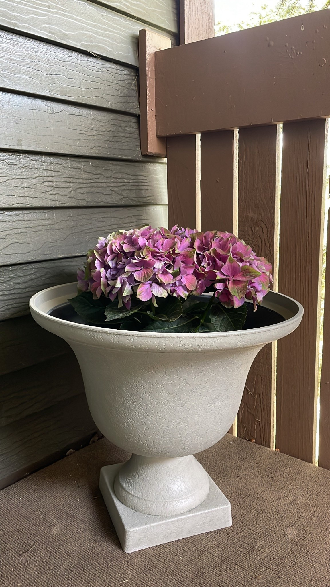 got this large planter from Home Depot for my hydrangea plant 🪴

#LTKFindsUnder50 #LTKSeasonal #LTKHome