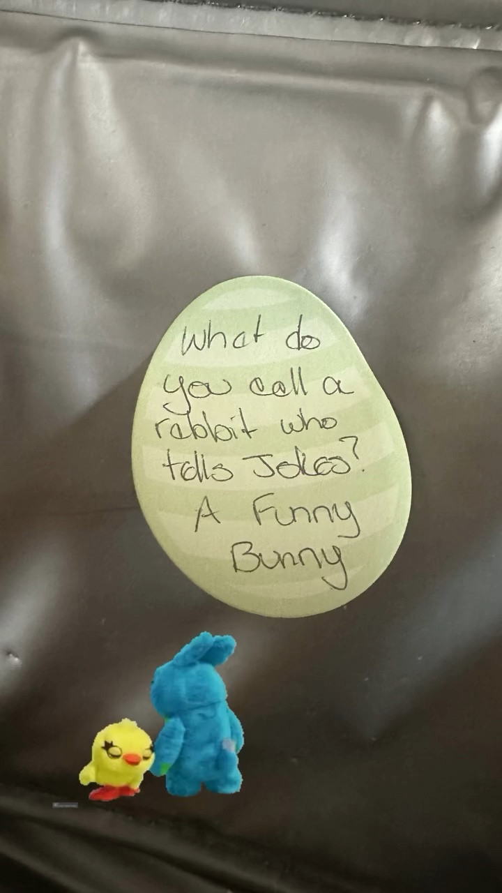 Today’s lunch box joke for my 2nd grader

#LTKmomlife #LTKKids #LTKfoodie