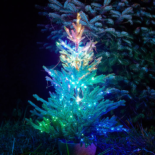 Stargazer Color-Changing Light Strand | Terrain