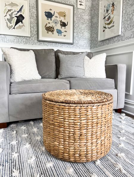 This storage ottoman is the best! Beautifully woven, sturdy and holds a ton. One of my favorite Target products!

#LTKfindsunder50 #LTKhome #LTKfamily