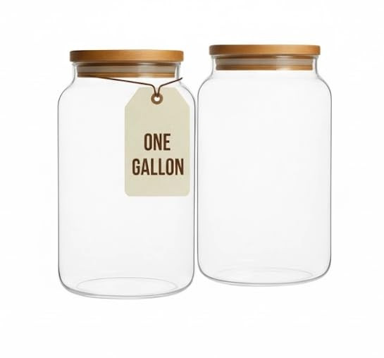 Large 1 Gallon Glass Large Jar with Airtight Bamboo Lid - High Borosilicate Canister for Kitchen ... | Amazon (US)