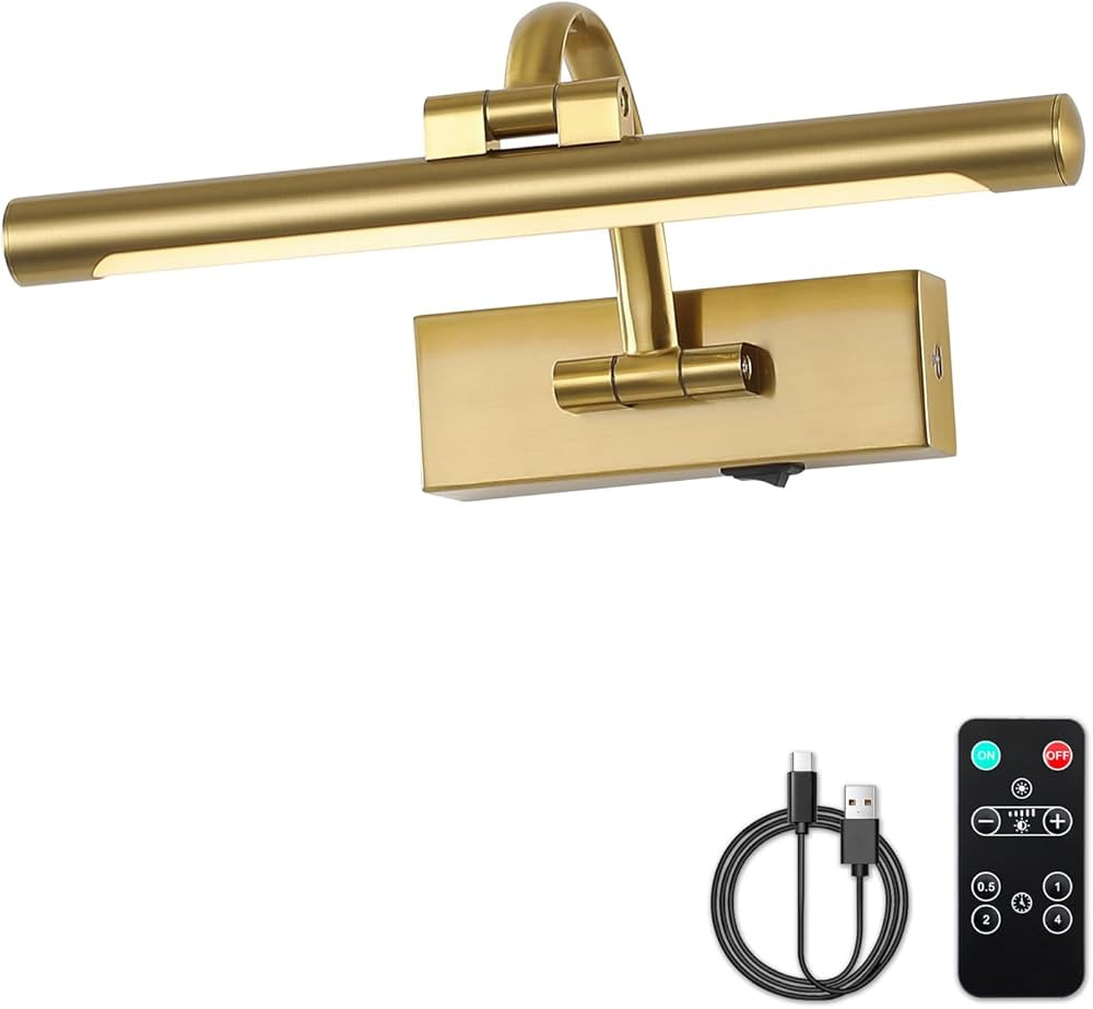 Wireless Picture Lights Gallery Lights Art Lamps Painting Lights 12 Inch 2W 2700K Brass | Amazon (US)