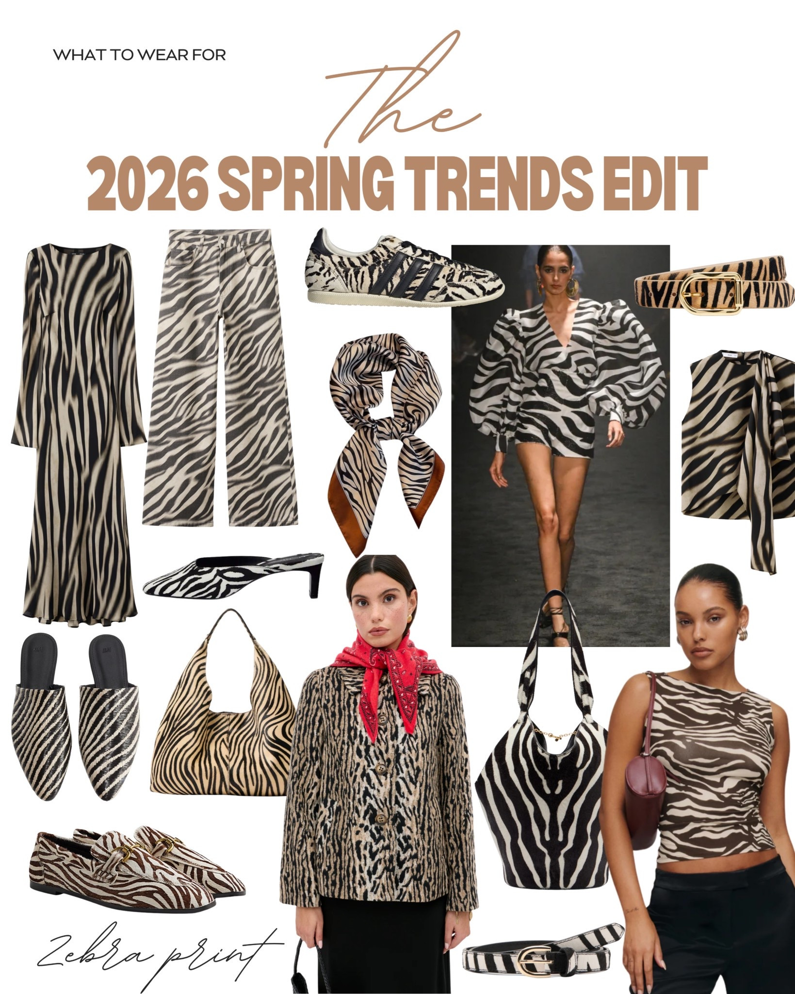2026 Spring trends: Zebra Print 🦓 

#LTKspring #LTKstyletip #LTKuk