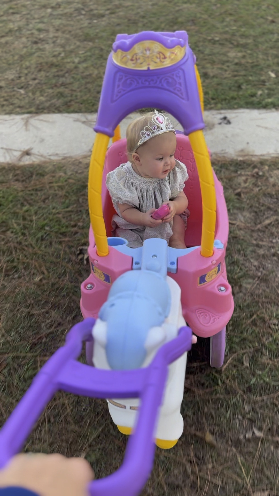 This horse and carriage changed our outside game!!!!!! She LOVES IT!! 

#LTKKids #LTKHoliday