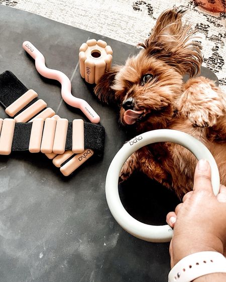 Dog Mom Fitness Favorites.  Ankle & Bracelet Weights, Exercise Mat and Pilates Balls from Bala.  Fitness-themed dog toys from Maxbone X Bala.

#LTKfindsunder50 #LTKGiftGuide #LTKfitness