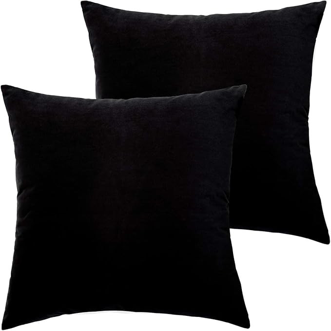 JSBYY Velvet Throw Pillow Covers Solid Color Decorative Square Soft Cushion Cases 18x18 or 12x20 ... | Amazon (US)