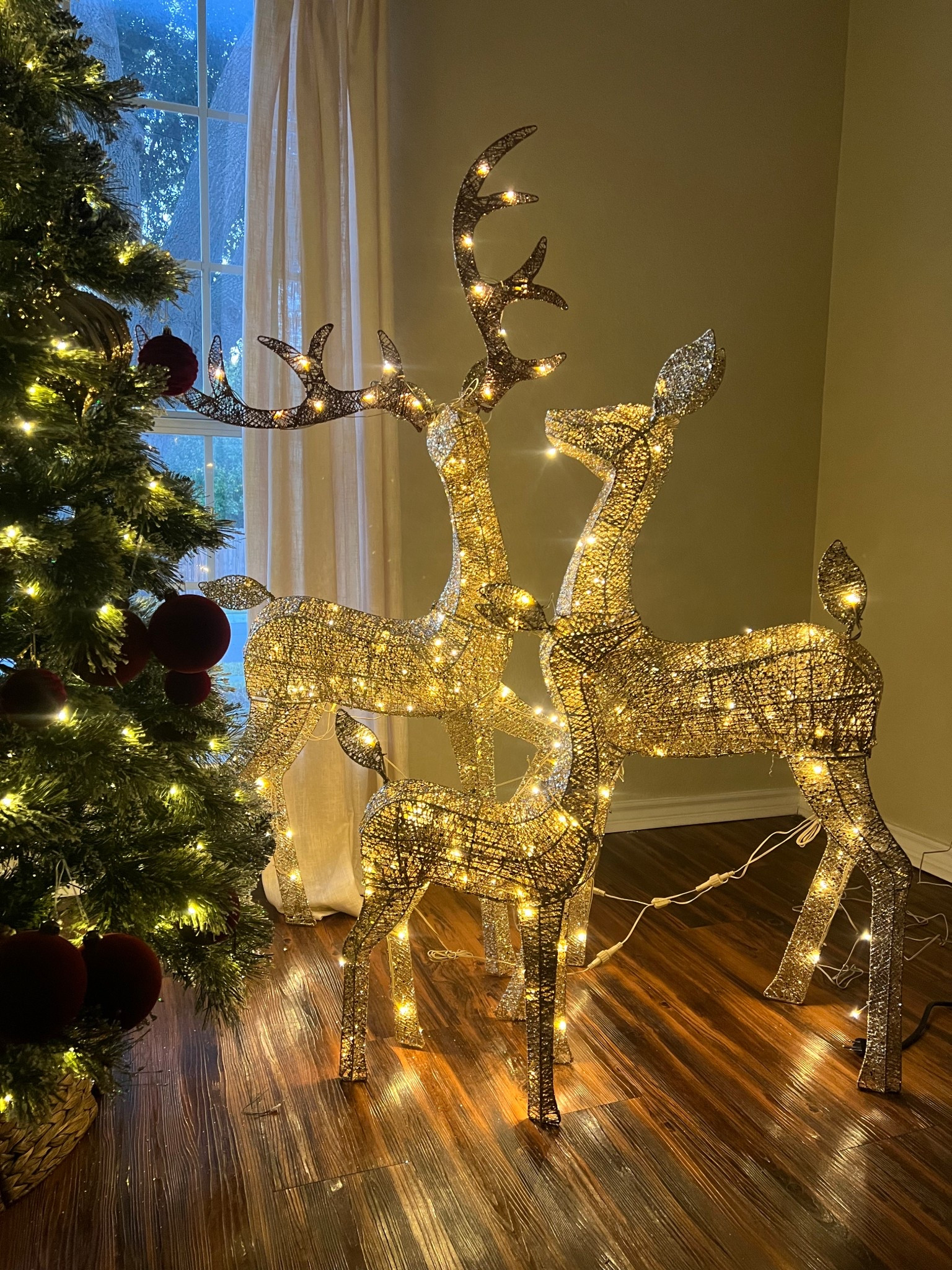 Christmas Deer✨ 🦌  can be used outside or in home !

#LTKHome #LTKHoliday #LTKSeasonal