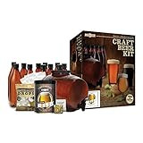 Mr. Beer Complete Beer Making 2 Gallon Starter Kit, Premium Gold Edition, Brown | Amazon (US)