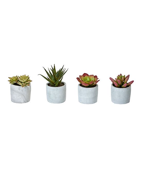 Worth Imports Faux Plants - 3.5'' Potted Succulent Decor - Set of Four | Zulily