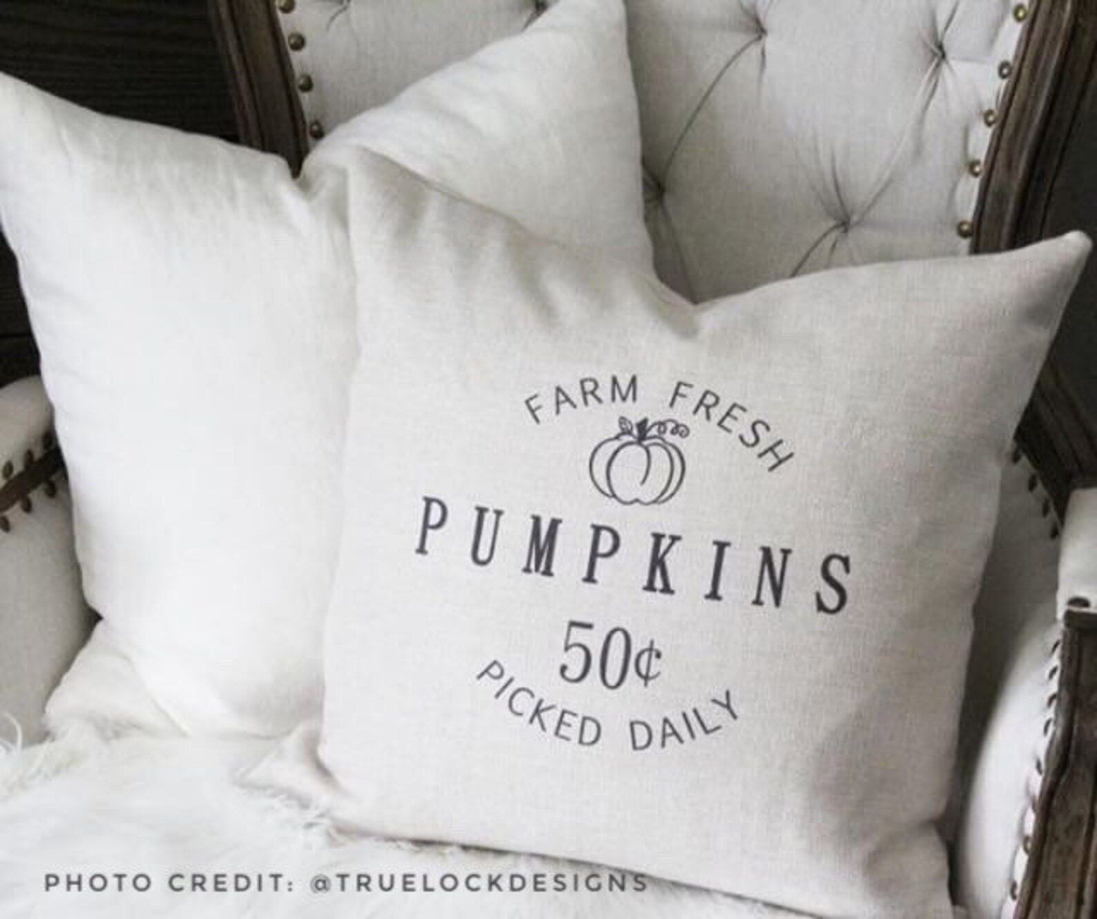 Farm Fresh Pumpkin Pillow Cover  Fall Decor  Fall Pillow | Etsy | Etsy (US)