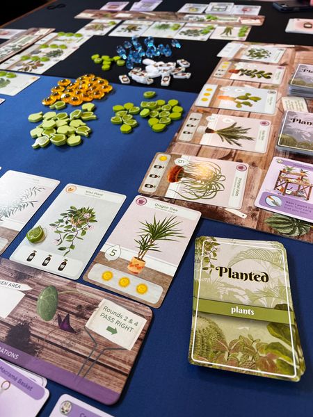 Planted is an excellent drafting game for the family. Draft house plants and the resources you need to care for them. The more challenging plants you care for the more points you earn. Fantastic! 

#LTKfamily #LTKhome