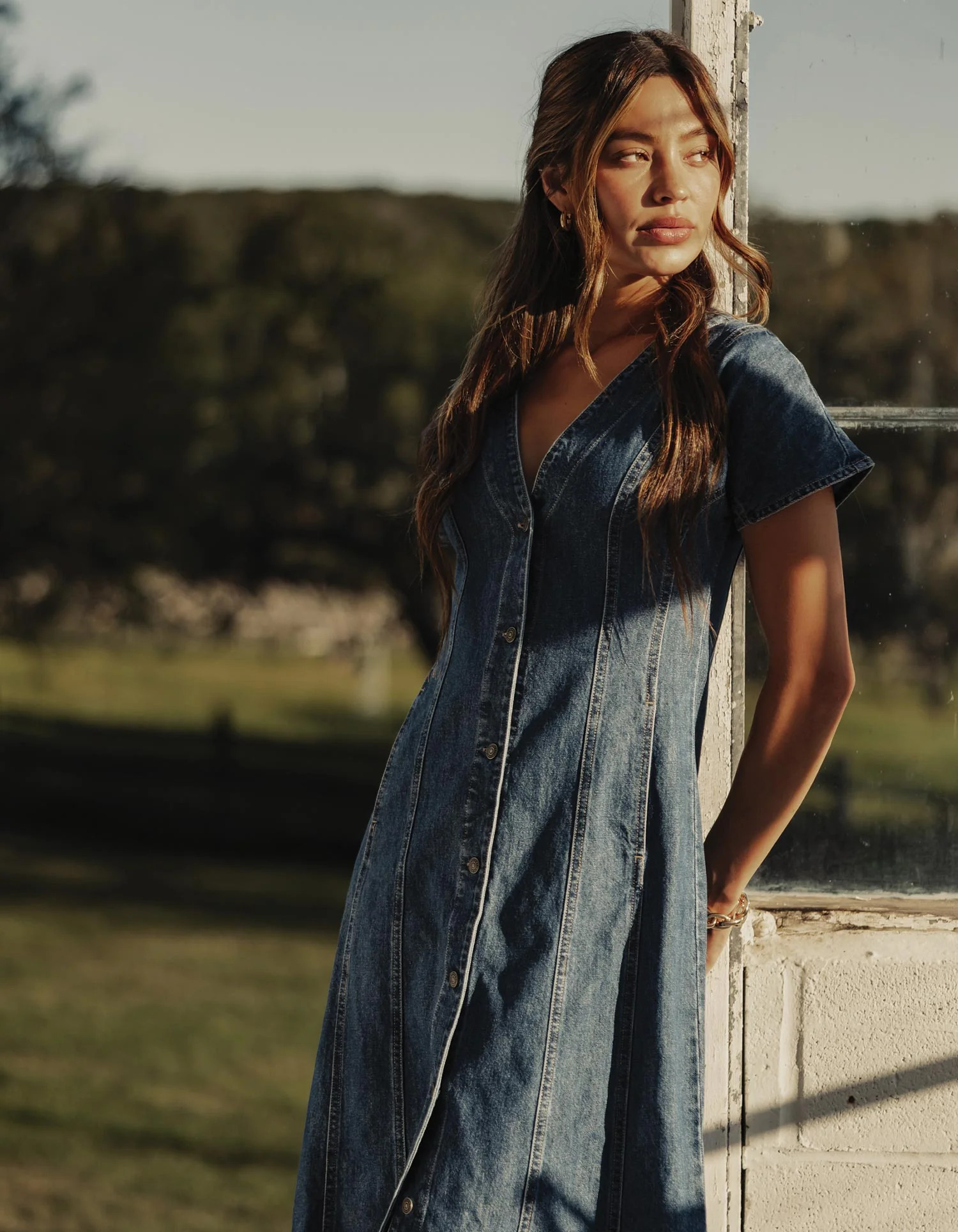 Denim Seamed Midi Dress in Medium Wash | The Normal Brand