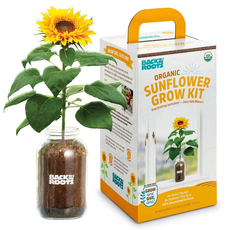 Back to the Roots Organic Sunflower Windowsill Grow Kit | Target