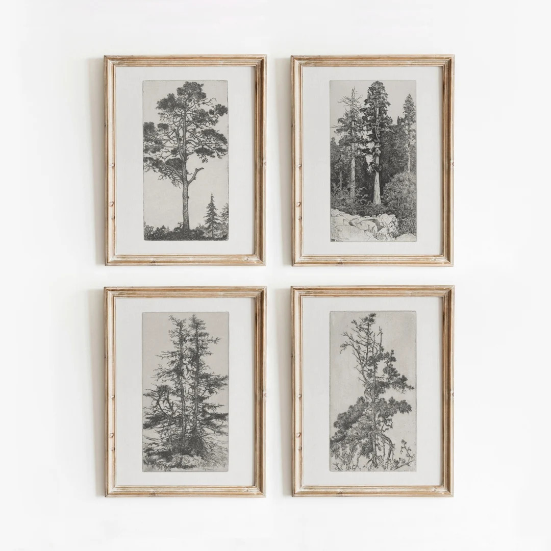 Tree Etching Set of 4 Vintage Black and White Sketch Art Nature Gallery Wall Artwork Digital Down... | Etsy (US)