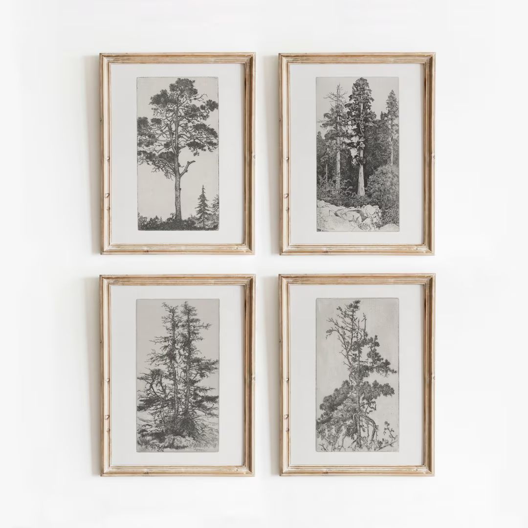 Tree Etching Set of 4 Vintage Black and White Sketch Art Nature Gallery Wall Artwork Digital Down... | Etsy (US)